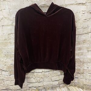 Express Brown Velour Long Sleeve Hoodie Sweatshirt